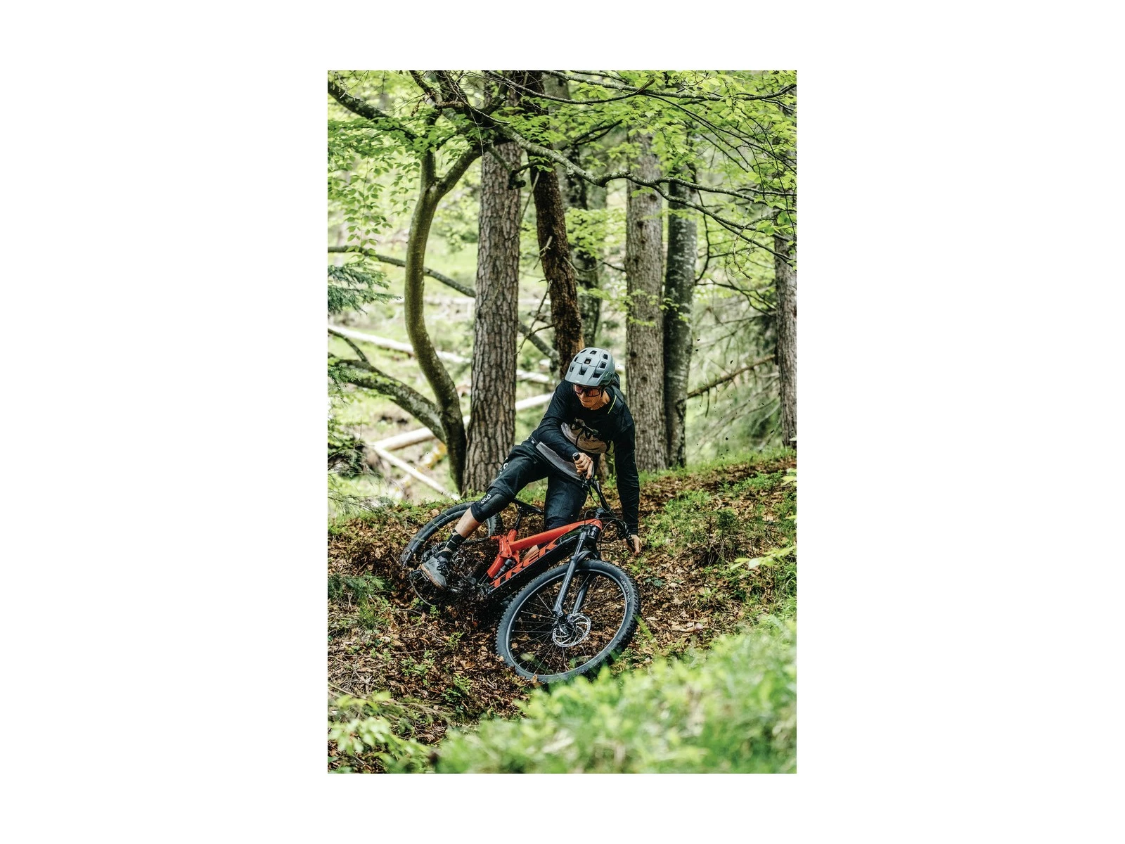 ABUS Casque VTT MoDrop Pine Green 16 ABUS Casque VTT MoDrop Pine Green – Image 14