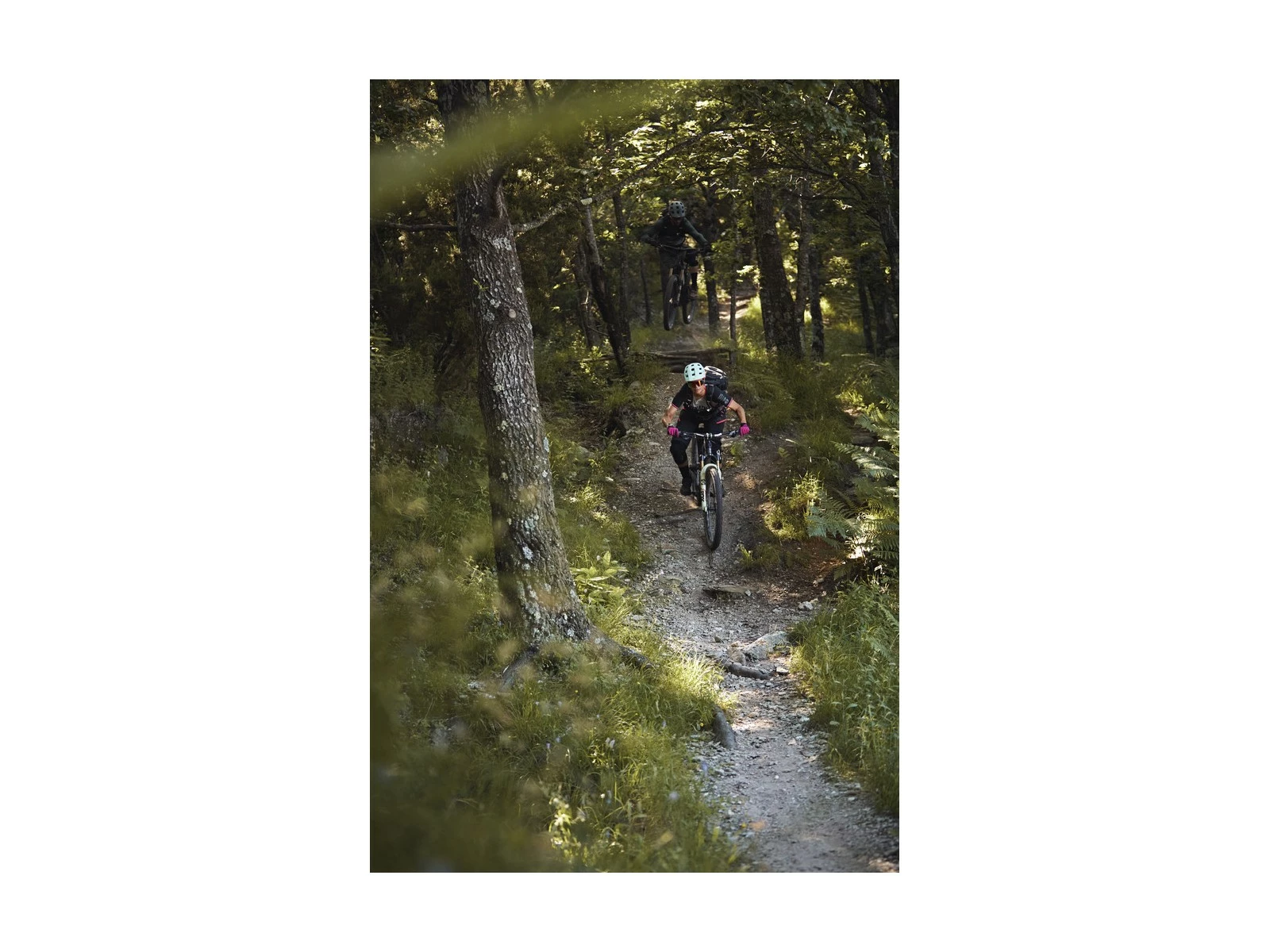 ABUS Casque VTT MoDrop Pine Green 17 ABUS Casque VTT MoDrop Pine Green – Image 15