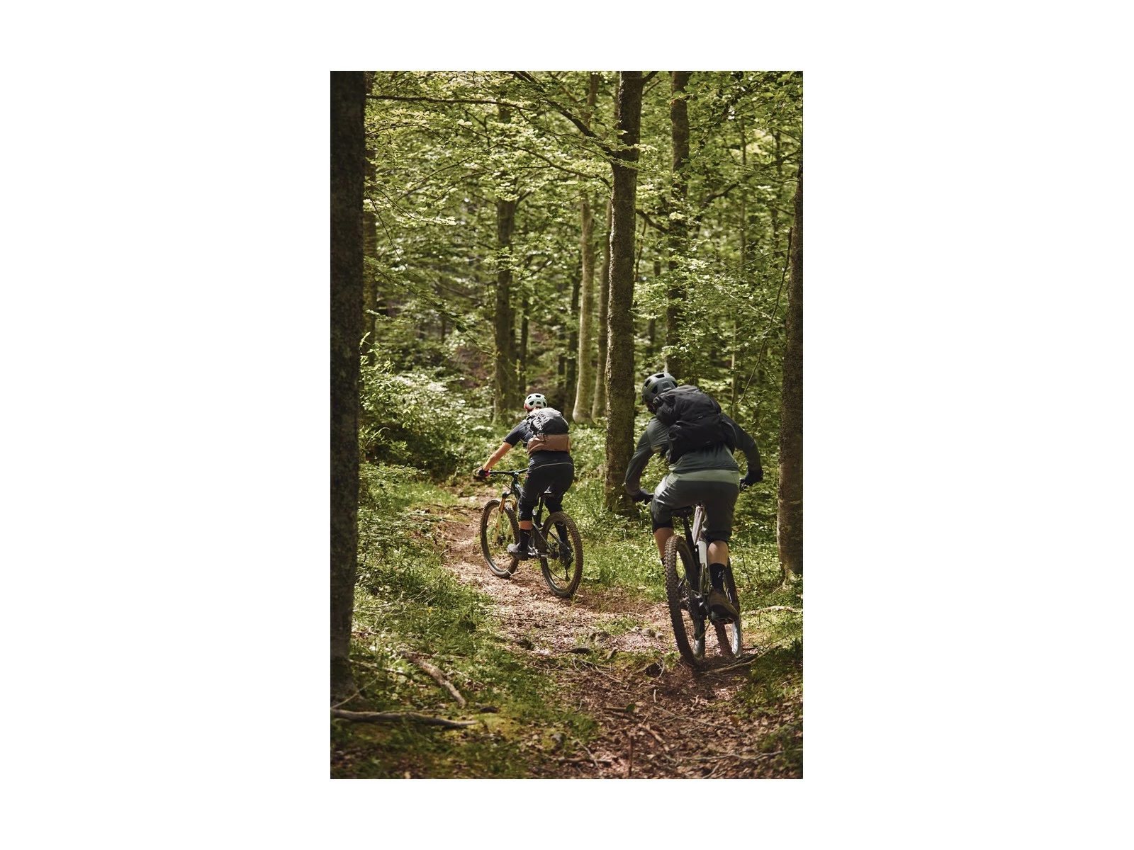 ABUS Casque VTT MoDrop Pine Green 18 ABUS Casque VTT MoDrop Pine Green – Image 16