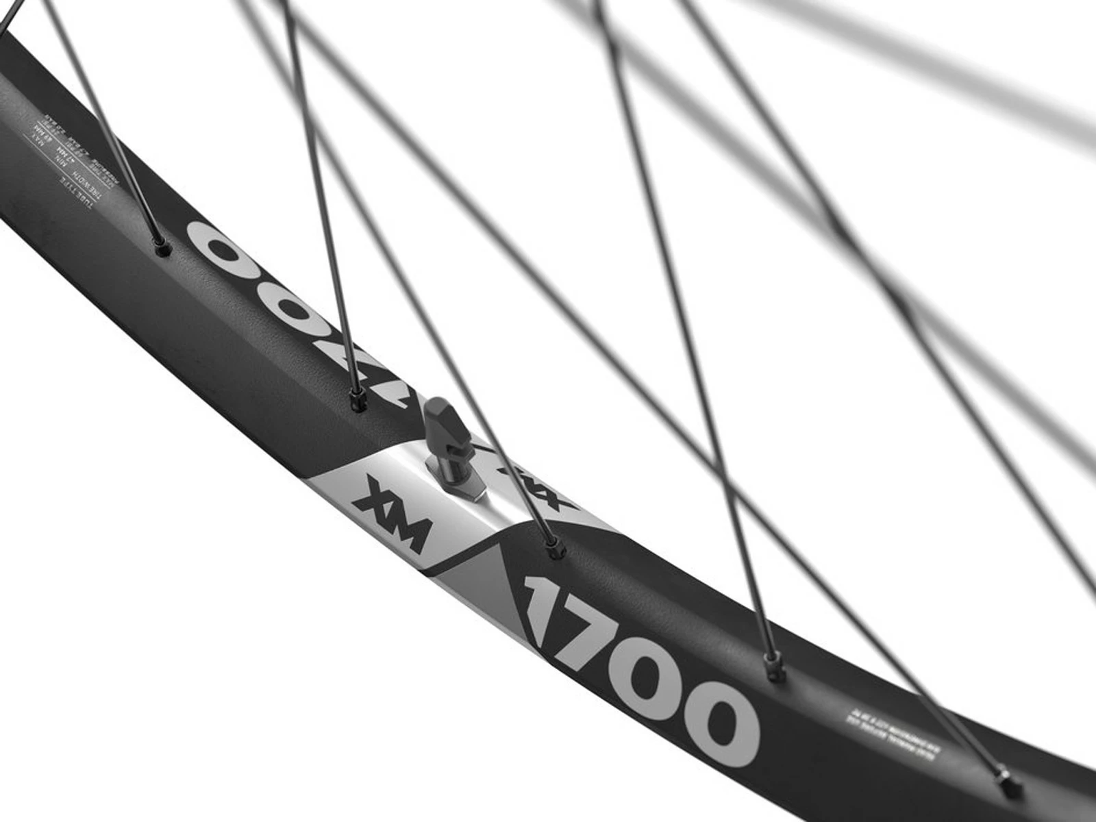 Dt-swiss DT Swiss Roues XM 1700 SPLINE 30 Disques CenterLock 29" 4 Dt-swiss DT Swiss Roues XM 1700 SPLINE 30 Disques CenterLock 29" – Image 2